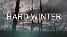 Hard Winter