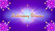 Zahramay Dreams