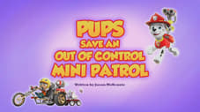 I cuccioli salvano la Mini Patrol