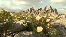 Ireland: Sculpted Isle