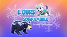 L'ours somnanbule