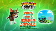Jungle Pups: Pups Find a Hidden Jungle
