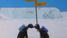 Pingu e l'ammiratrice