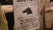 Zorro lanza una trampa