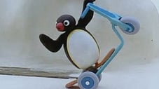 Pingu visar vad han går för