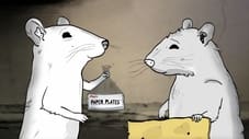 Episode One: Rats.