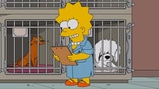 Lisa, la veterinaria