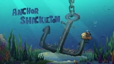 Anchor Shackleton
