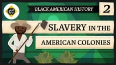 Slavery in the American Colonies