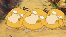 The Psyduck Stops Here!
