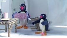 Pingu and the Band