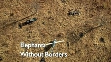 Elephants without Borders