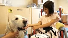 Yui and Bailey the Therapy Dog