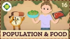 Population & Food