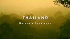 Thailand - Nature's Survivors