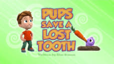 I cuccioli salvano un dentino perduto