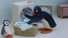 Pingu Refuses To Help
