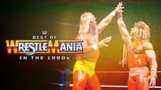 The Best of WWE: Best of WrestleMania in the 1990s