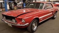 One Mad Mustang - Part 1
