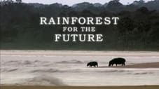 Rainforests For The Future