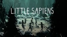 Little Sapiens