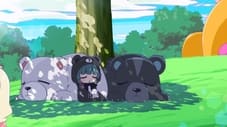 Bear Bear Bear Kuma - Petit! 01: Bear Learns to Sleep Soundly
