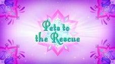 Pets to the Rescue