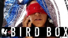 Bird Box Challenge