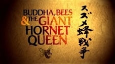 Buddha, Bees and the Giant Hornet Queen