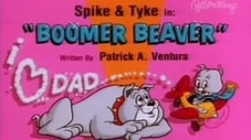 Boomer Beaver