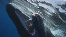 The Sperm Whales of Dominica; Monkey Island; Hanging On