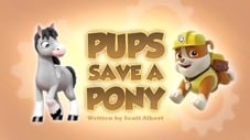 Pups Save a Pony