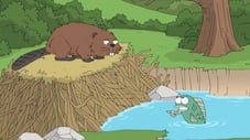Beavers: Assholes of the Forest