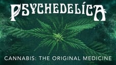 Cannabis: The Original Medicine