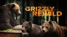 Grizzly Rewild