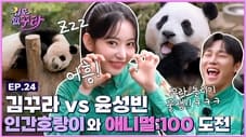 Sakura X Yun Sung Bin! Animal: 100 Challenge with Fu Bao, Tiger and T Express!