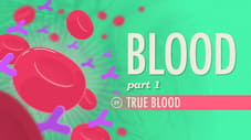 Blood, Part 1 - True Blood