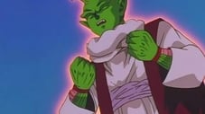 Piccolo's Best Bet