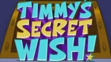 Timmy's Secret Wish