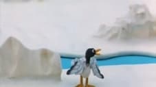 Pingu et la mouette