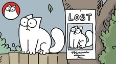 Missing Cat, Part 3: Lost