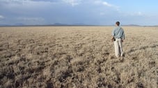 非洲肯尼亚草原 - 肯尼亚北部