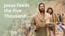 Matthew 14 | The Feeding of the 5,000