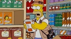 Homer, o Paparazzi