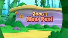Zooli's New Pet