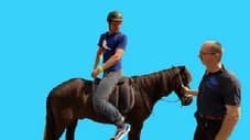 Wie kann man ein Pferd lenken?