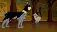 Bat Hound's Bad Luck / Circus Of The Dog Stars