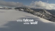 White Falcon, White Wolf
