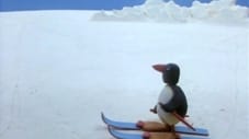 Pingu on Makeshift Skis