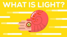 Was ist Licht?